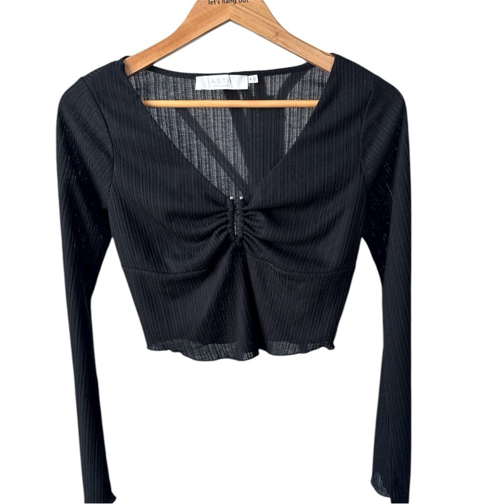 ASTR THE LABEL Long Sleeve V Neck Crop Top | Semi-Sheer Black | Medium